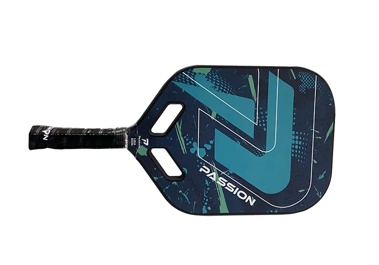 Vợt Passion Pro P101