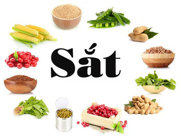 Cung cấp đủ sắt cho cơ thể khiến cho cơ thể không lo thiếu máu Cung cấp đủ sắt cho cơ thể khiến cho cơ thể không lo thiếu máu