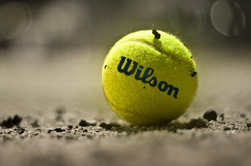 So sánh Tecnifibre Isoflex 280g và Wilson Pro Staff V14 280g