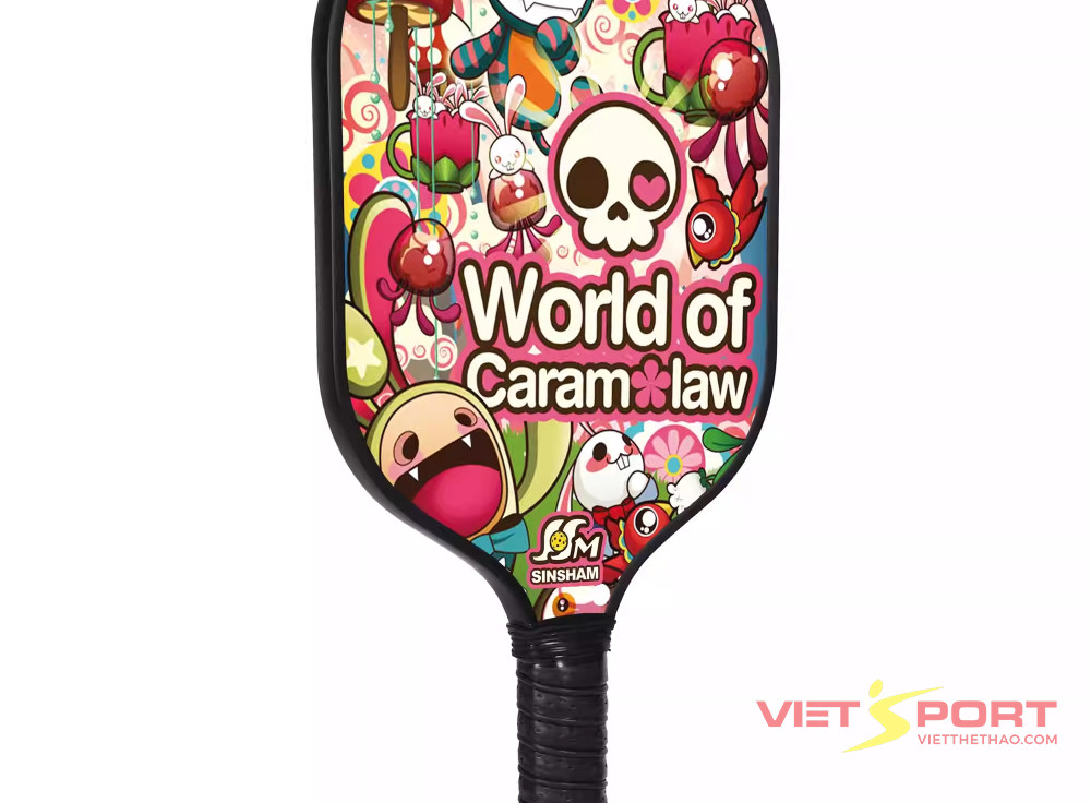 Vợt PickleBall World Of