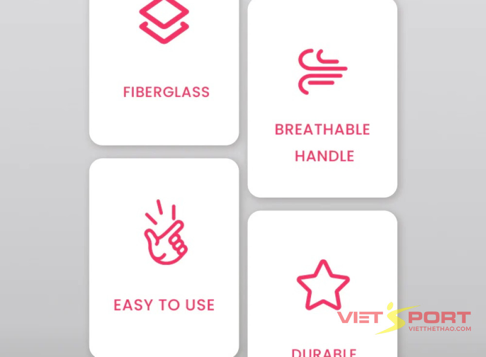 Vợt Pickleball BeeSoul NextGen BS06