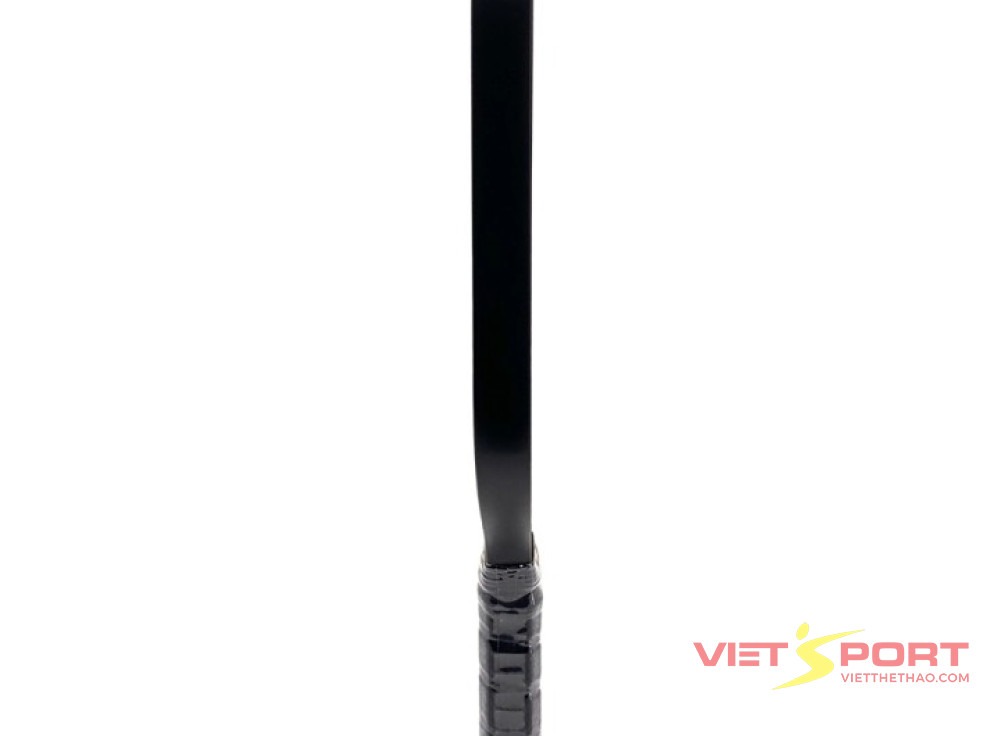 Vợt Pickleball Passion Native N101