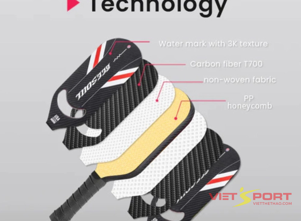 BeeSoul Pro Pickleball Paddles Frost F1