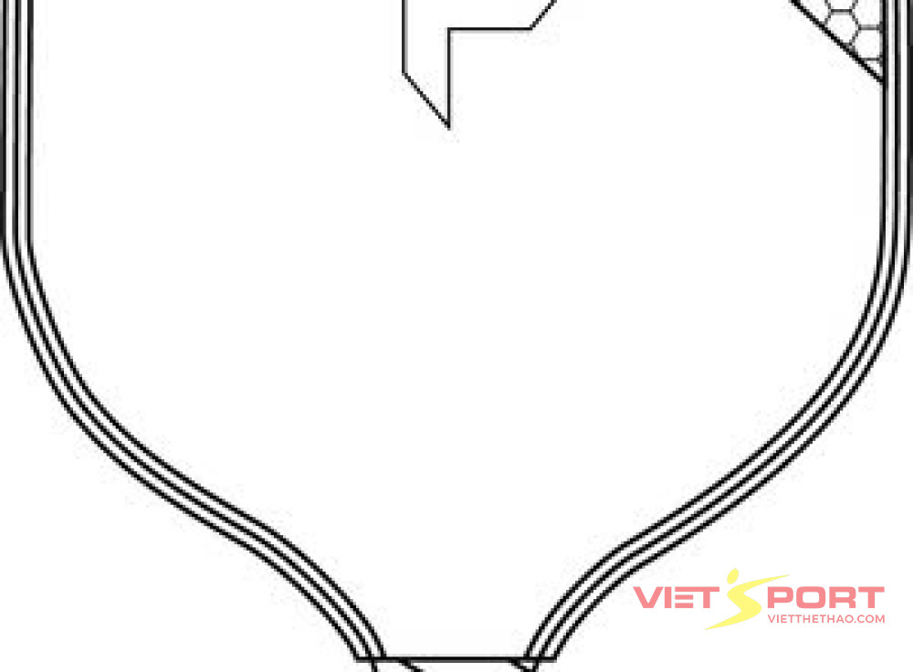 Vợt pickleball Bantam TKOC 14.3 Pink Limited Edition