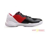 Giày Cầu Lông Li-Ning AYTS-16-209