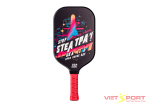 Vợt Pickleball BeeSoul NextGen Insprise BS02