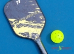 Vợt Pickleball Passion Hybrid H102