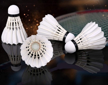 Cầu lông trong nhà và ngoài trời