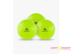 Vợt Pickleball Ultimate Pickleball Starter Kit